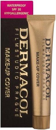 Actual product image Dermacol Make-Up Cover (210)