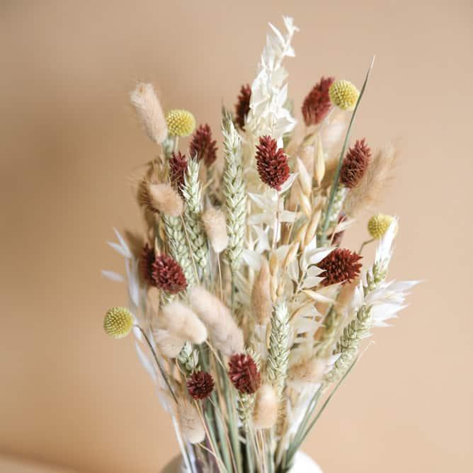 Actual product image la fleur douce Dried flowers Desert Flower (Dried flowers)