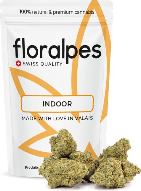 Actual product image Floralpes Amnesia Haze (10 g, Indoor)