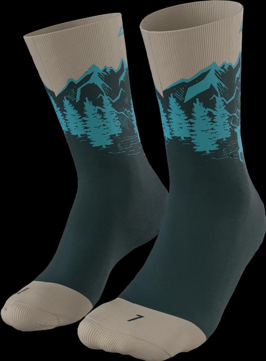 Actual product image Dynafit Stay Fast Socks Unisex (43 - 46)