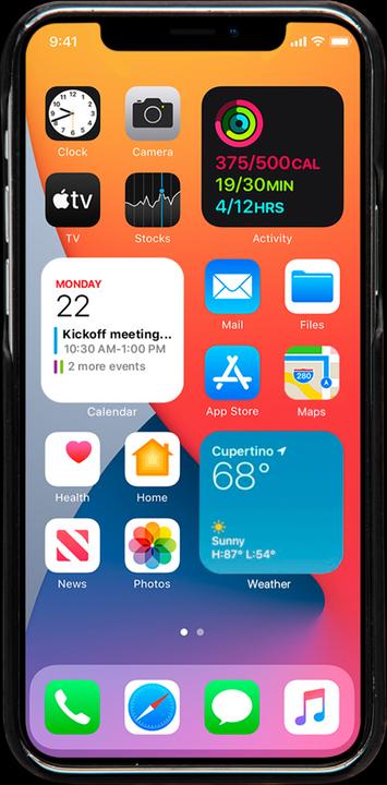 Image du produit dbramante1928 LYNGE - IPHONE 12 6.1? - Noir (Realme 12 Pro+, Apple iPhone 12)