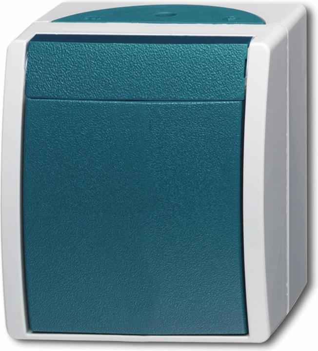 Actual product image Busch-Jaeger toggle