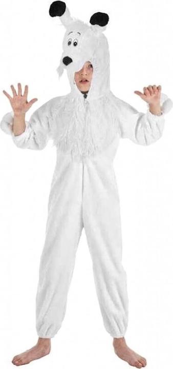 Image du produit Chaks Costume d'enfant Idéfix (128)