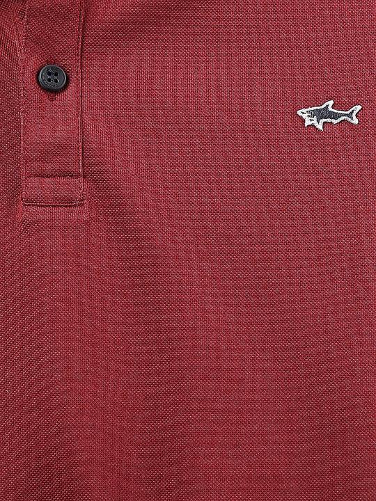 Actual product image Paul & Shark Polo shirt (L)