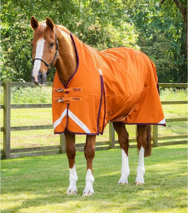 Produktbild Premier Equine Buster Hardy 200 g (183 cm)