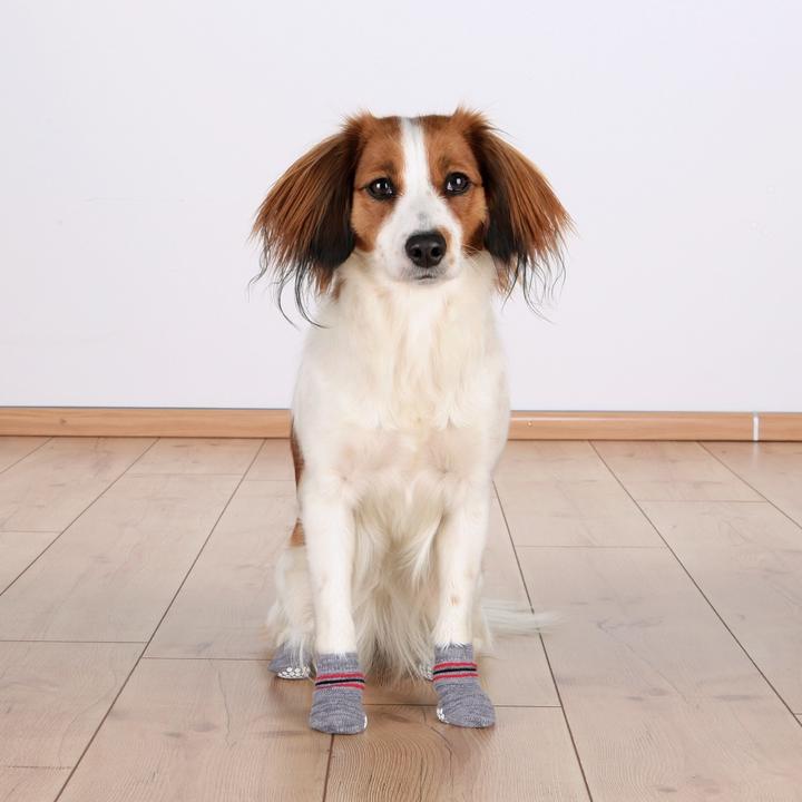 Immagine prodotto Trixie Calzini per cani (L, XL, Calzini per cani)