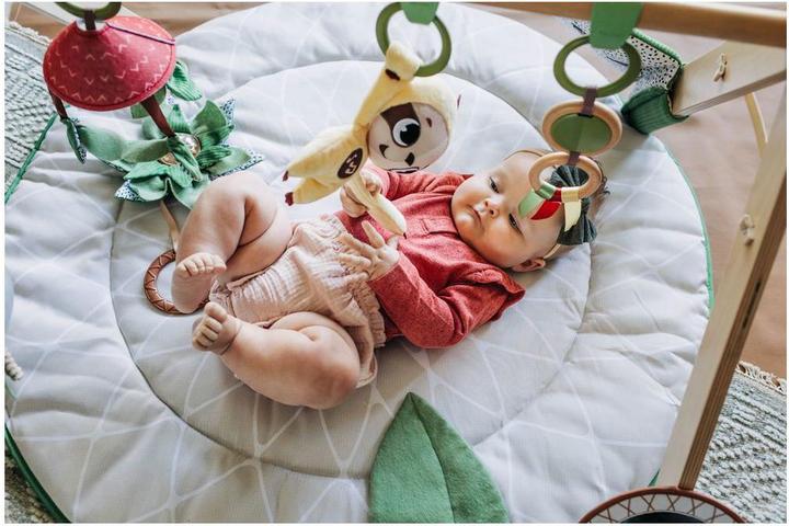 Actual product image Tiny Love Luxe Gymini