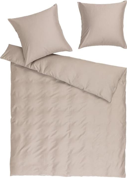 gray beige