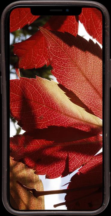 Produktbild dbramante1928 Barcelona (Apple iPhone 12 mini)