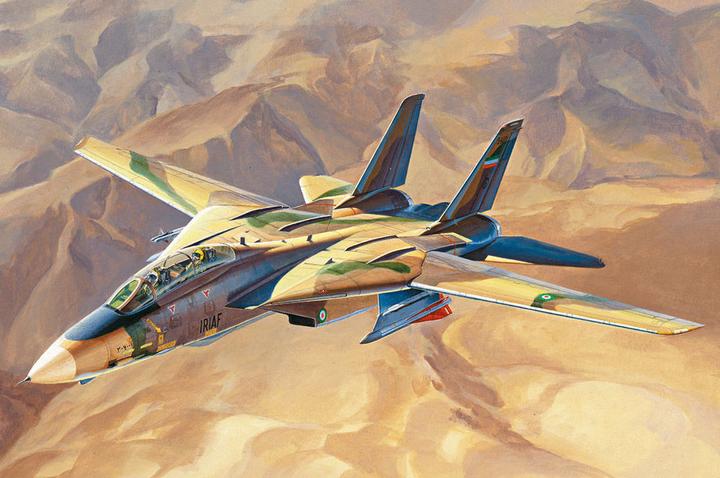 Actual product image Hobby Boss Persian Cat F-14A TomCat-IRIAF