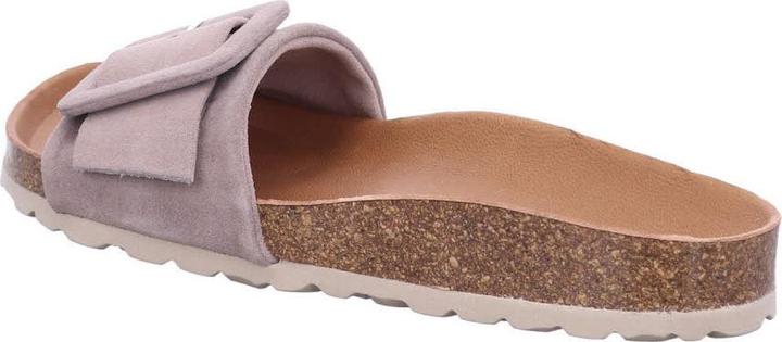 Image du produit Verbenas Reiko (38)