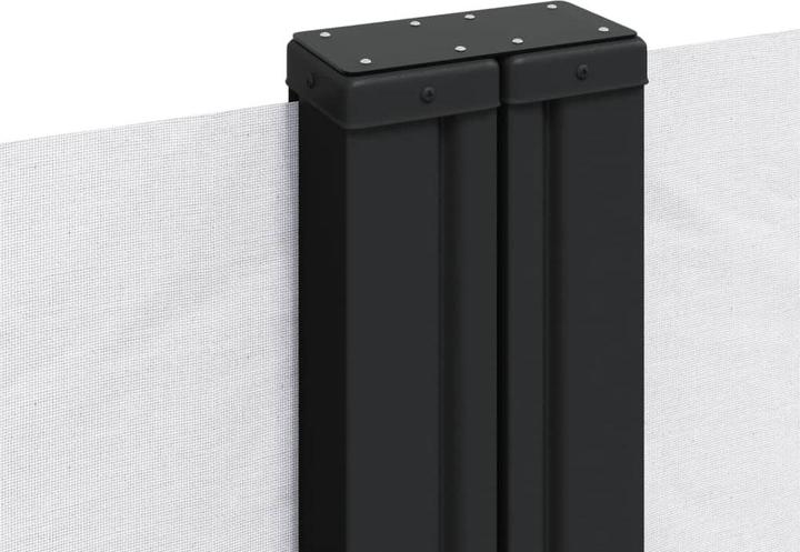 Actual product image VidaXL Extendable side awning (2.20 m)