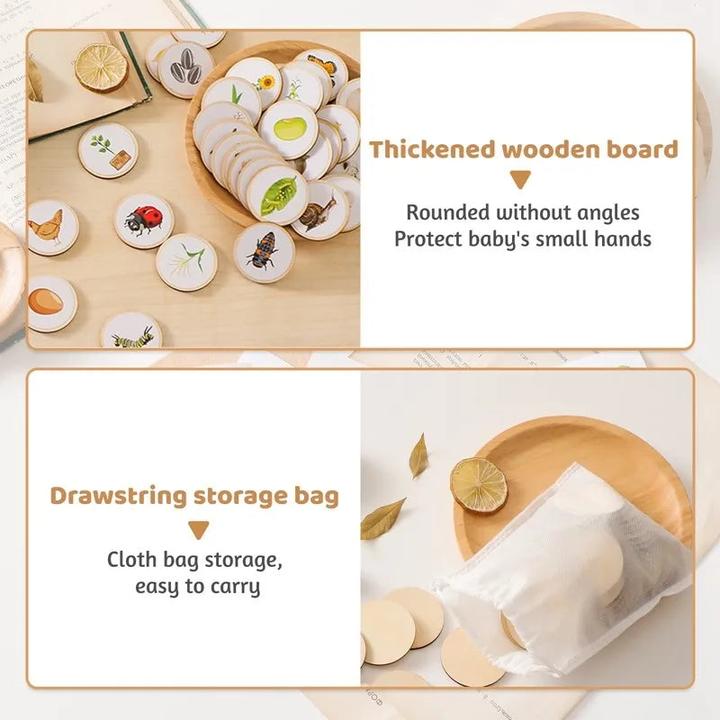 Image du produit Activity Board Jouet en bois pour bébé Animal Life Cycle Cognition Wooden Board Infant Toy Early Educational Baby