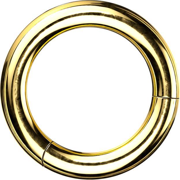 Star Piercing Segmentring klappbar vergoldet (Titan G23, ohne Messing)