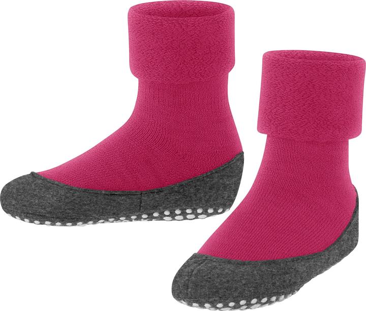 Fuchsia (8856)