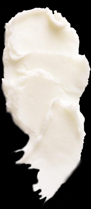 Actual product image L'Occitane Pure Shea Butter (Body cream, 150 ml)