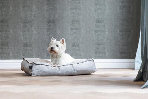 Produktbild Designed by Lotte Nalino (Hund)
