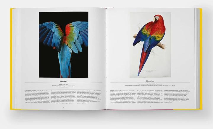 Produktbild Bird (Englisch, Katrina van Grouw, Phaidon Editors, Jen Lobo, 2021)