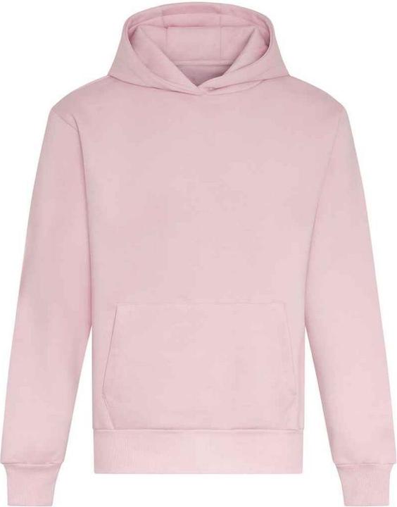Image du produit Awdis - Sweat à capuche - Adulte (M)