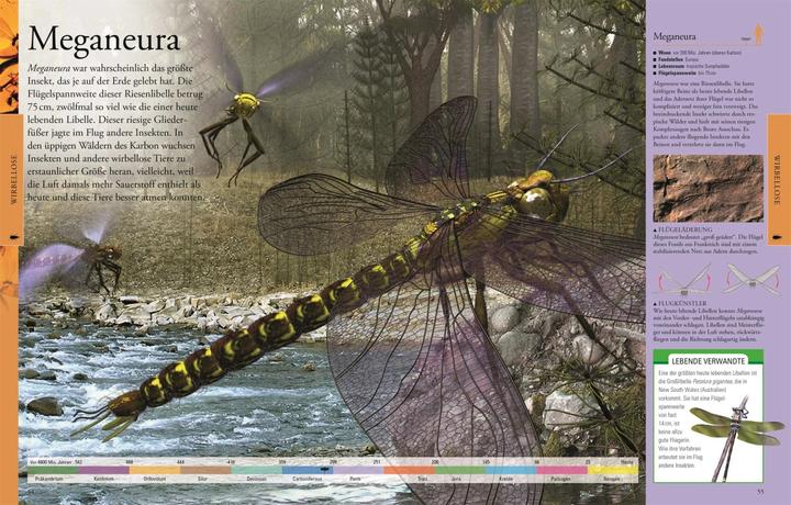 Immagine prodotto Dinosaurier und andere Tiere der Urzeit für clevere Kids (Tedesco, DK Verlag - Bambini, 2019)