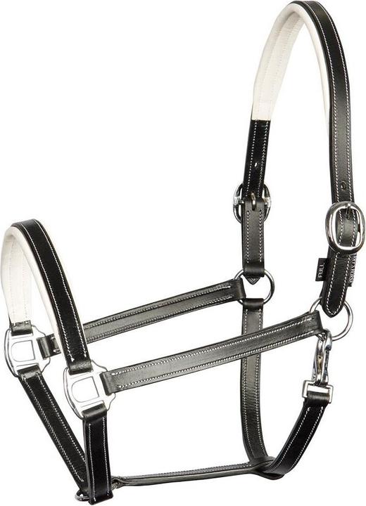 Harry's Horse Elegance
