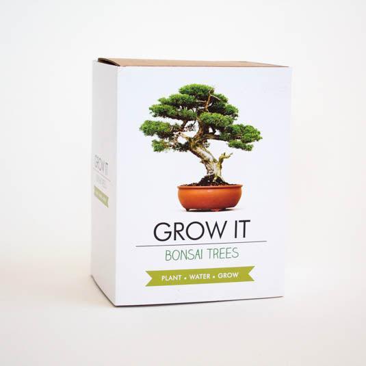 Actual product image Mags Grow it Bonsai (Plant seeds)