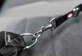 Actual product image Trixie Connecting belt adapter 40-60cm (Dog, Lockable)