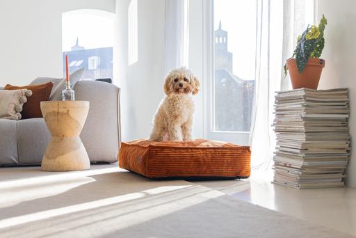 Image du produit Designed by Lotte Ribbed (Chien)