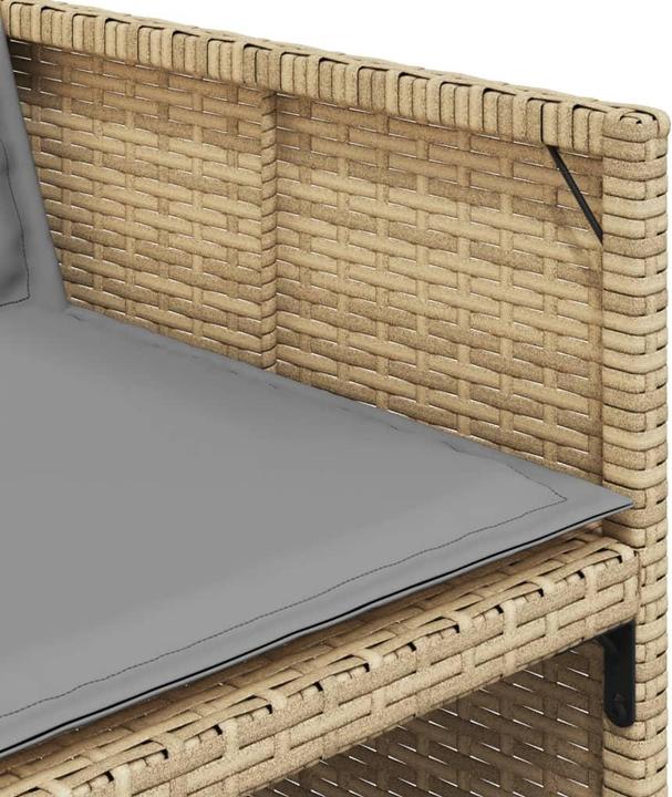Immagine prodotto VidaXL Betulla piangente (106 cm)