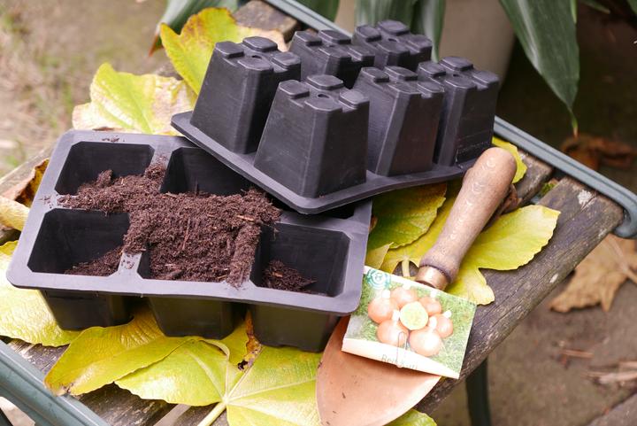 Produktbild Fair Zone Saatgutschale