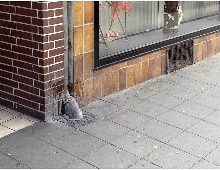 Produktbild Gardigo Hunde und Katzenabwehr