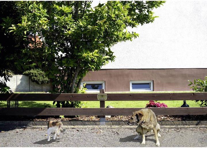 Produktbild Gardigo Hunde und Katzenabwehr
