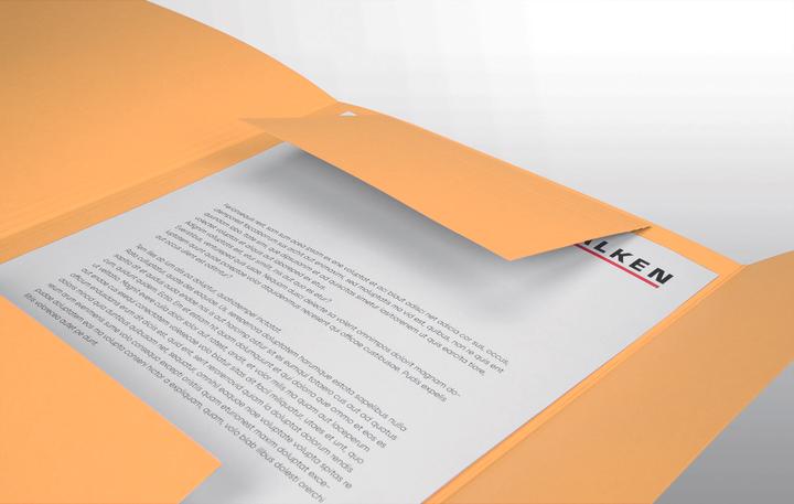 Image du produit Falken Dossier de classement, DIN A4, rabats, carton manila (A4, 1 x)