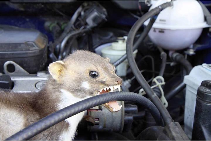 Immagine prodotto Gardigo Marten libero mobile