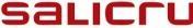 Productafbeelding Salicru UPS SLC-8000-TWIN RT3 B0 UPS-module zonder batterij (8000 VA, 8000 W, Online dubbele transformator UPS)