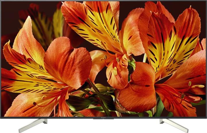 Image du produit Sony Kd-49xf8505 (49", LCD, 4K, 2018)