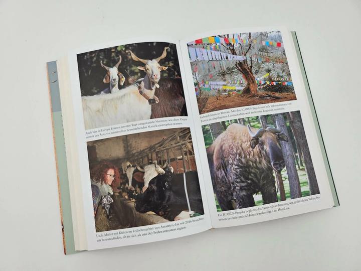 Actual product image The Internet of Animals: Was wir von der Schwarmintelligenz des Lebens lernen können (German, Sven Dörper, Thomas Wollermann, Martin Wikelski, 2024)