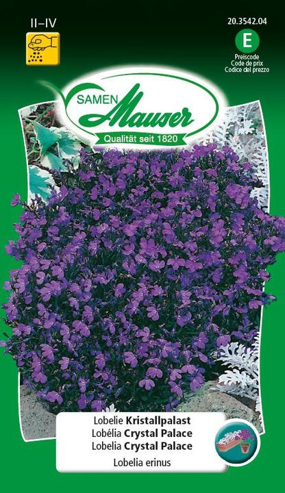 Samen Mauser Lobelia Crystal Palace, Maschio fedele (Semi di piante)