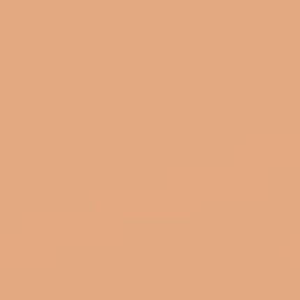 Actual product image MAC Cosmetics Studio Fix 24-Hour Smooth Wear Concealer (NC40)