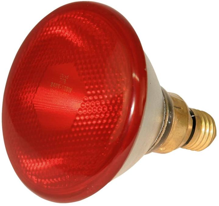 Kerbl Infra Sparlampe (175 W)