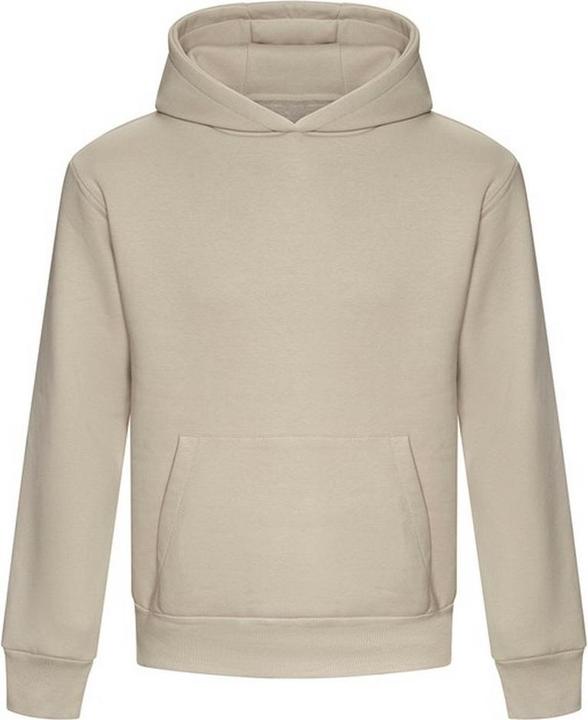 Awdis Signature Kapuzenpullover (L)