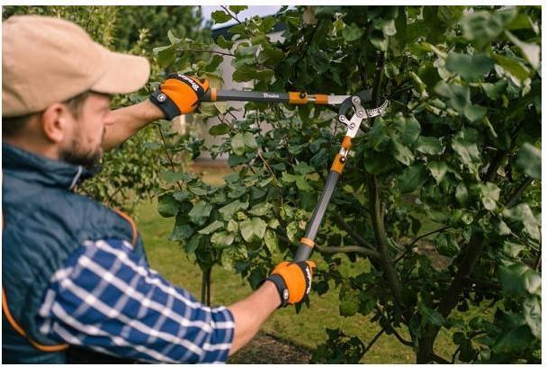 Produktbild Bradas Teleskop-Astschere
