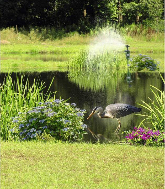 Produktbild Gardigo Solar-Wasser-Tierabwehr