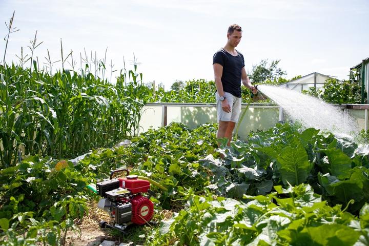 Produktbild AL-KO Benzinmotorpumpe (Gartenpumpe)