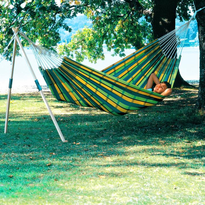 Actual product image Amazonas Barbados (200 kg)