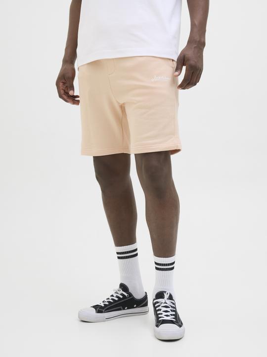 Immagine prodotto Jack & Jones Regular Fit Shorts Shorts (M)