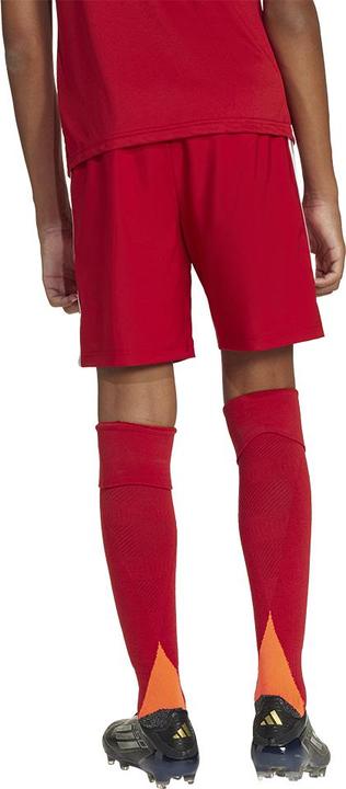 Actual product image adidas Tastigo25 Short Kids (152)