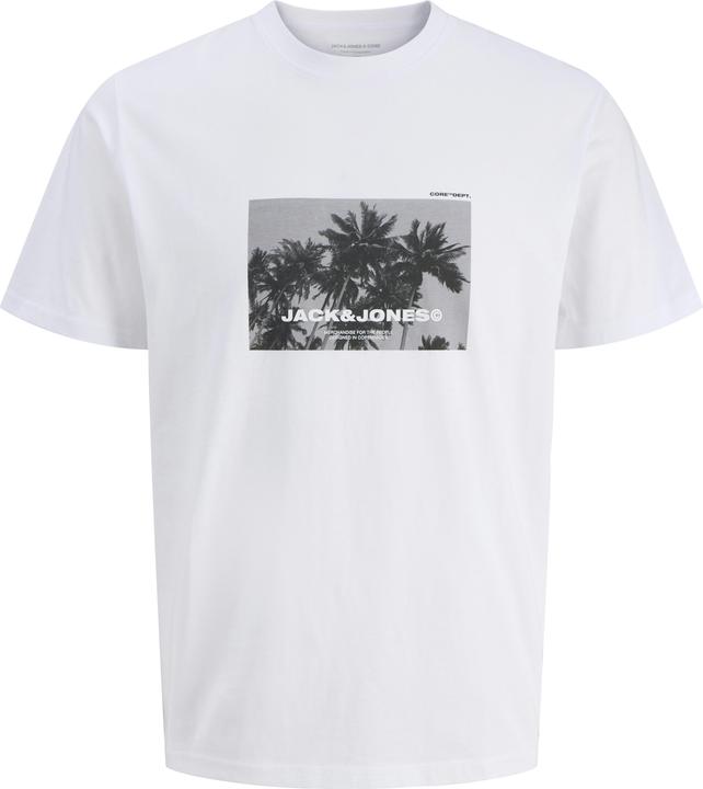 Jack & Jones Jcoversion Tee Ss Crew Neck Stydss25