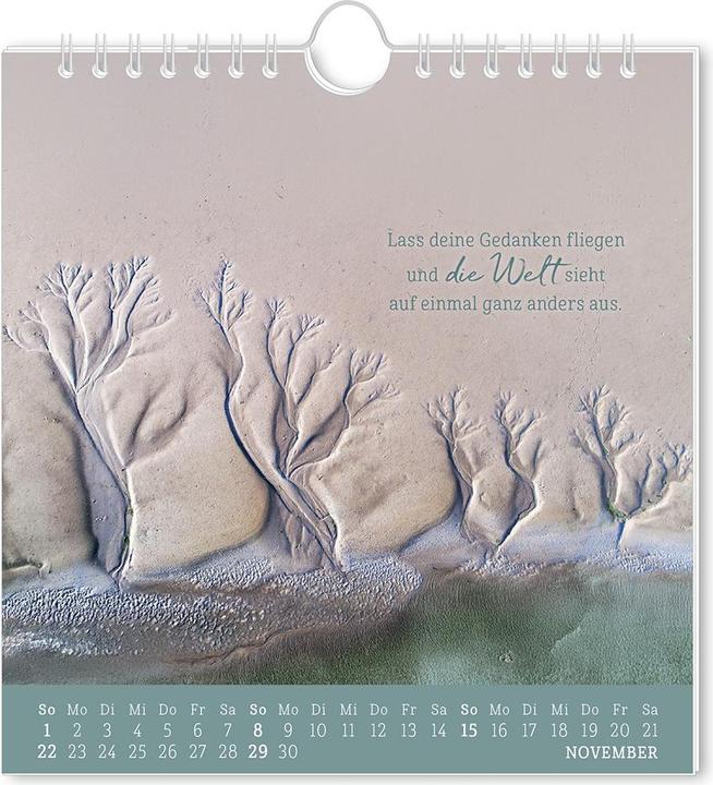 Image du produit Postkartenkalender 2026 Strandgut (16 x 17 cm, Allemand)