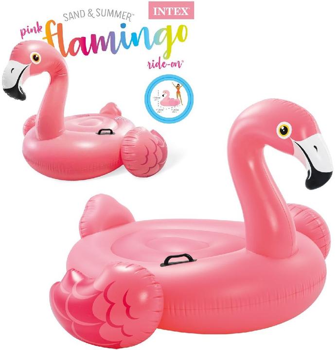 Actual product image Intex Flamingo Ride On